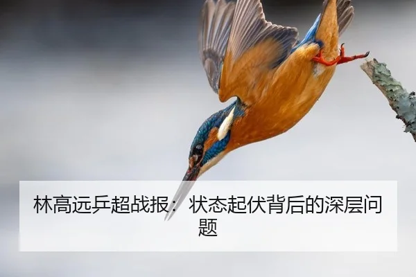 林高远乒超战报：状态起伏背后的深层问题