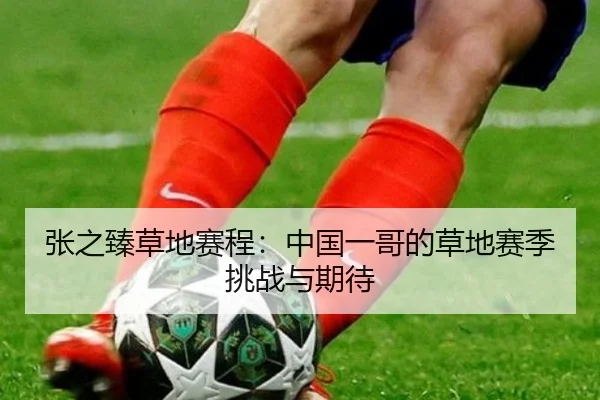 张之臻草地赛程：中国一哥的草地赛季挑战与期待